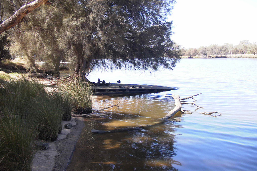 Ashfield Pontoon from river photo.MAAWA.jpg
